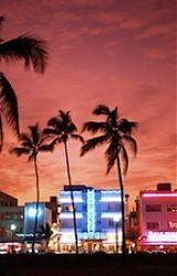miami neon